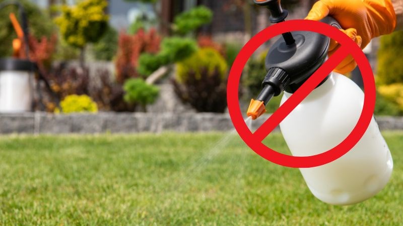 Hạn chế tiếp xúc với thuốc trừ sâu, thuốc diệt cỏ