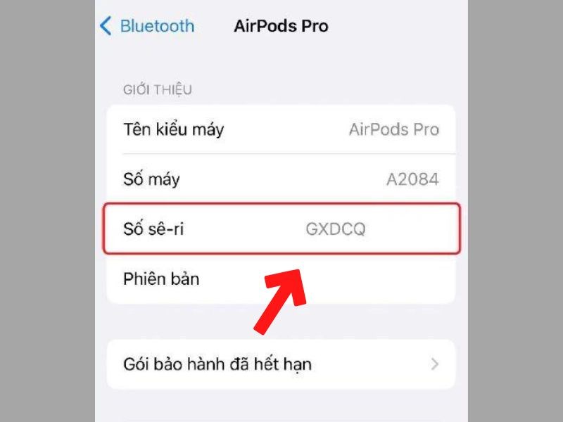 Tại mục Số s&ecirc;-ri, b&ecirc;n cạnh ch&iacute;nh l&agrave; IMEI của AirPods Pro