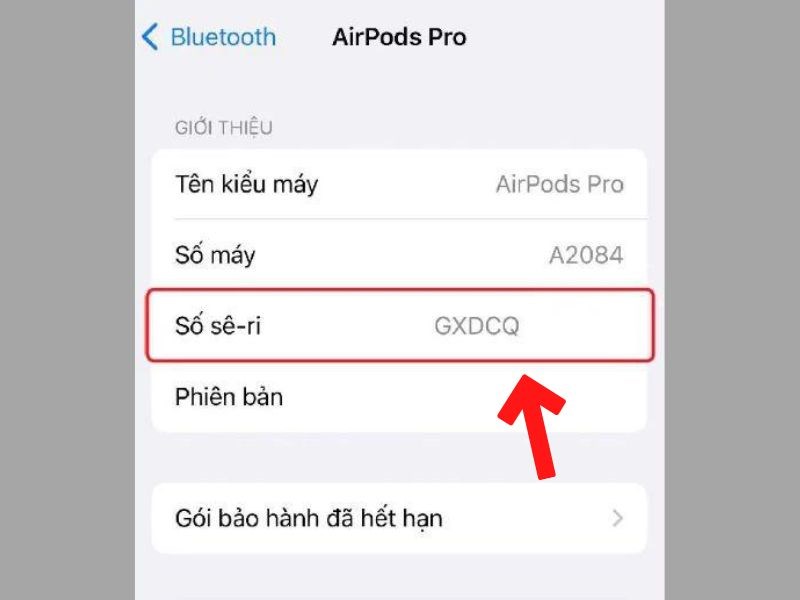 D&atilde;y k&yacute; tự b&ecirc;n cạnh số s&ecirc;-ri ch&iacute;nh l&agrave; IMEI của AirPods Pro