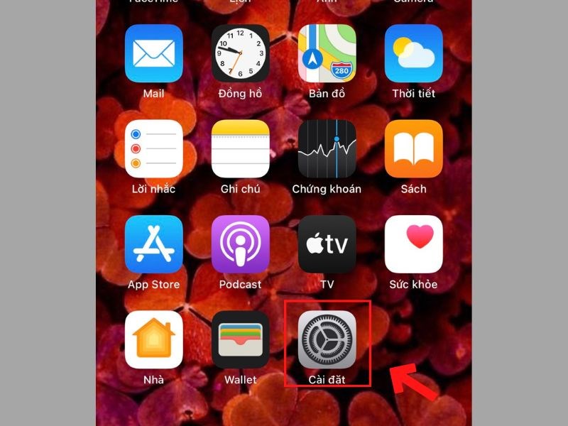 Chọn C&agrave;i đặt 