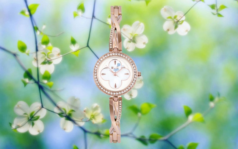 Mang vẻ đẹp của những c&aacute;nh hoa đang nở rộ