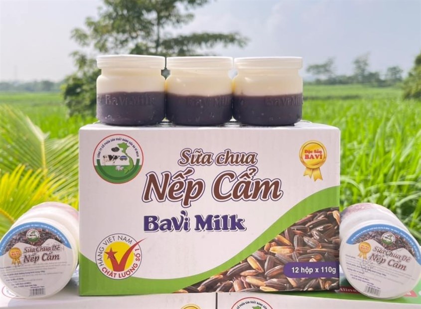 Sữa chua Nếp Cẩm Ba Vì