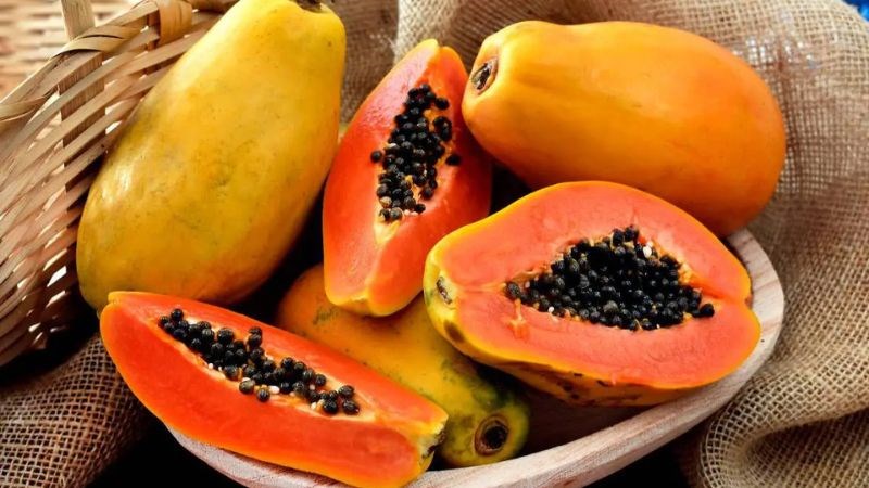 Đu đủ là một loại trái cây giàu chất xơ tốt cho người đau dạ dày