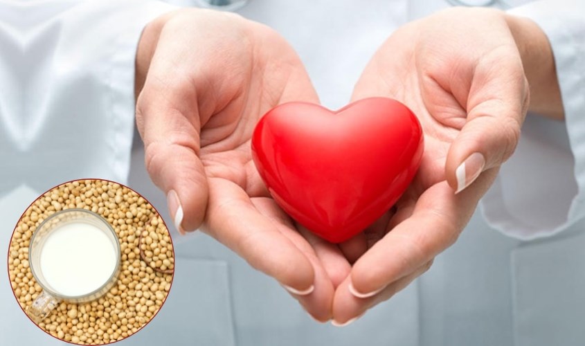 Sữa đậu nành còn giúp phòng ngừa bệnh tim mạch cho cơ thể