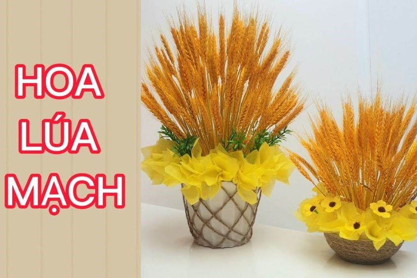 Video hướng dẫn Cách cắm hoa lúa mạch đẹp từ A đến Z