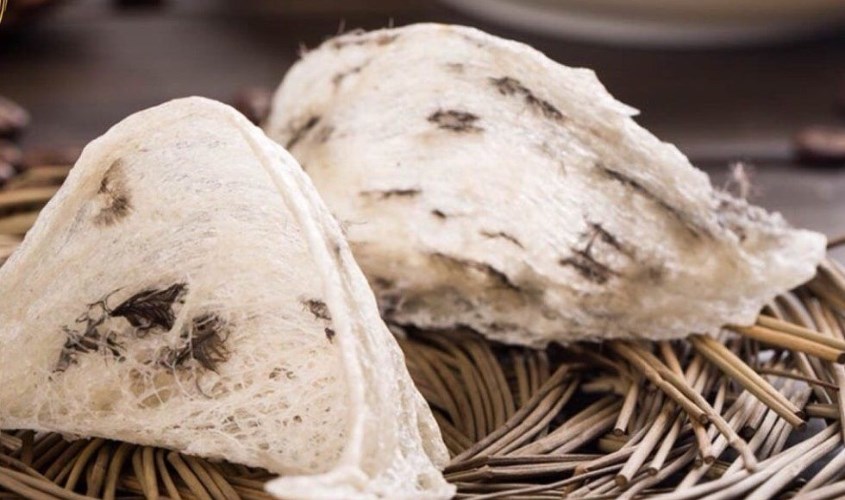 Hạn sử dụng yến sào là bao lâu? Cách bảo quản từng loại