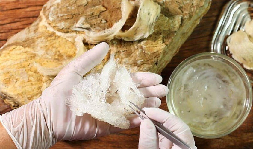 Yến sơ chế là thành phẩm của yến thô sau khi được làm sạch lông, tạp chất