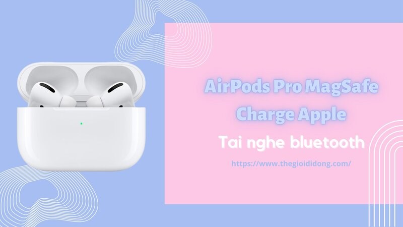 Ngoại hình bo tròn, mềm mại Ngoại hình bo tròn, mềm mại