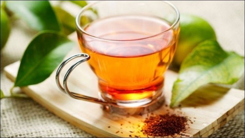 Chỉ nên uống 1 ấm trà lá vối/ngày để tránh ảnh hưởng đến sự bài tiết của thận