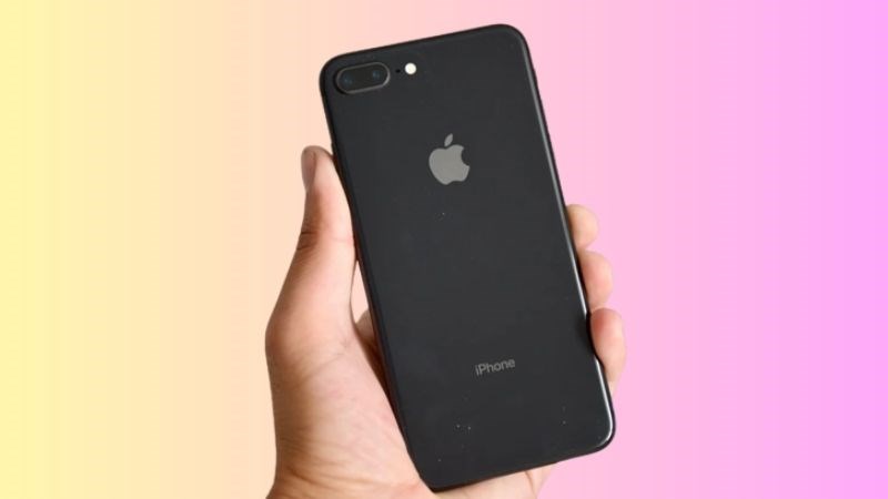 Cụm camera k&eacute;p chuy&ecirc;n nghiệp