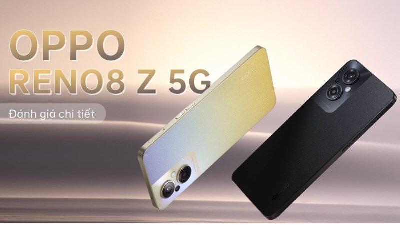 Thiết kế thu h&uacute;t mọi &aacute;nh nh&igrave;n