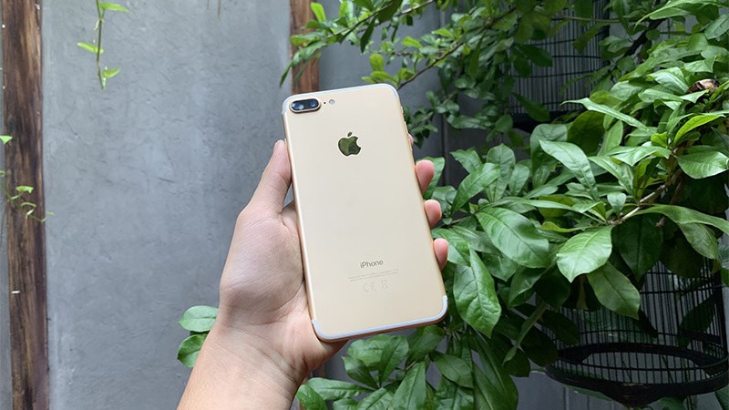 M&agrave;u v&agrave;ng đồng sang trọng đặc trưng của Apple