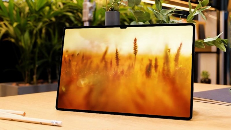 Gi&aacute; cả l&agrave; vấn đề khiến bạn v&ocirc; c&ugrave;ng t&ograve; m&ograve;