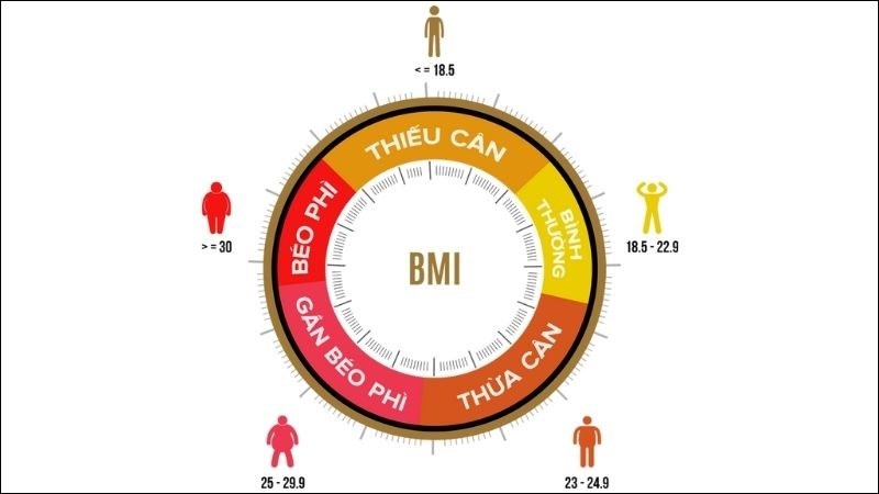 Người thiếu c&acirc;n (BMI < 18.5) kh&ocirc;ng n&ecirc;n nhịn ăn gi&aacute;n đoạn