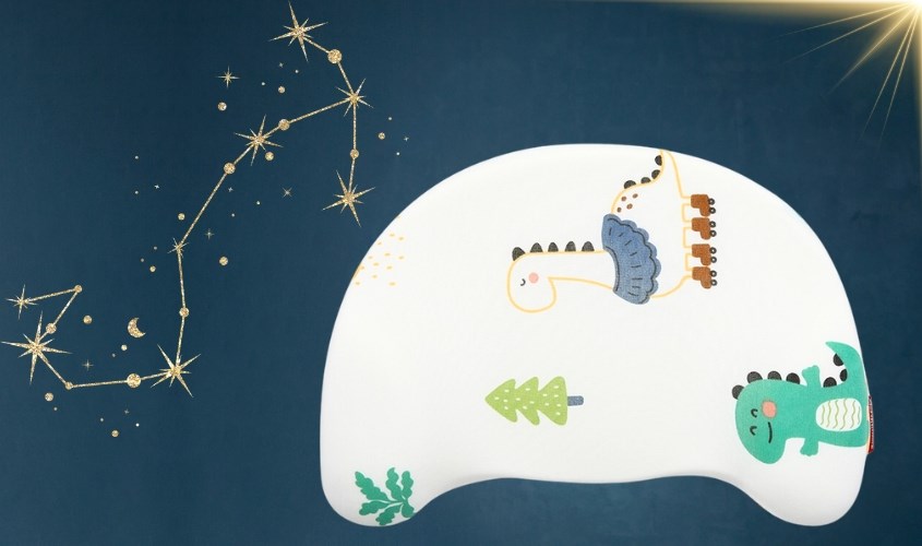 Gối Galena GH-LDJP1 31x22x3 cm