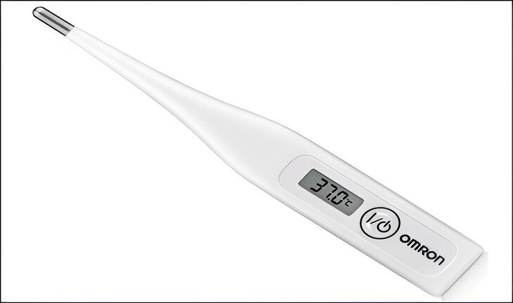 Top 10 best electronic thermometers, worth buying today