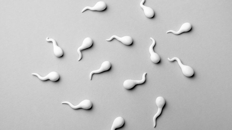 Tinh hoàn nhỏ có thể ảnh hưởng đến sức khỏe sinh sản