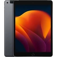 M&aacute;y t&iacute;nh bảng iPad 9 WiFi Cellular 256GB