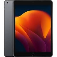 M&aacute;y t&iacute;nh bảng iPad 9 WiFi 256GB