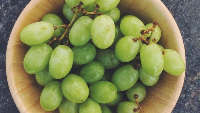 Trái cây rửa chưa kỹ dễ nhiễm vi khuẩn listeria Trái cây rửa chưa kỹ dễ nhiễm vi khuẩn listeria