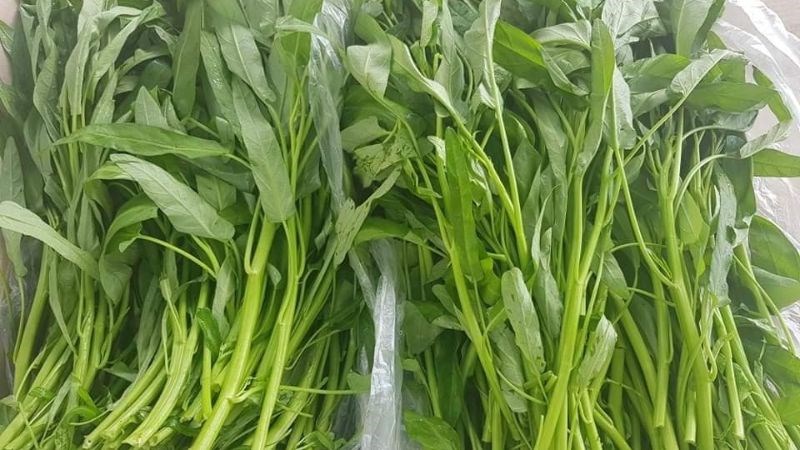 Rau muống tạo thành vết sẹo lồi gây mất thẩm mỹ Rau muống tạo thành vết sẹo lồi gây mất thẩm mỹ