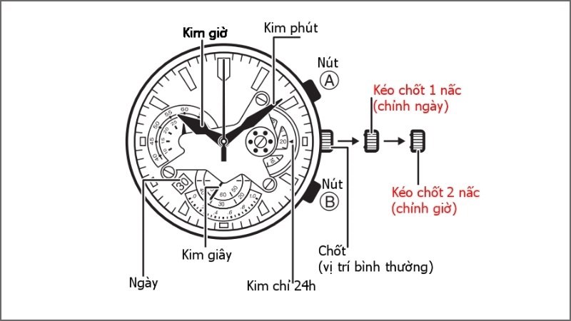 Chỉnh ngày, tháng, năm đồng hồ Citizen Eco Drive Radio Controlled Chỉnh ngày, tháng, năm đồng hồ Citizen Eco Drive Radio Controlled
