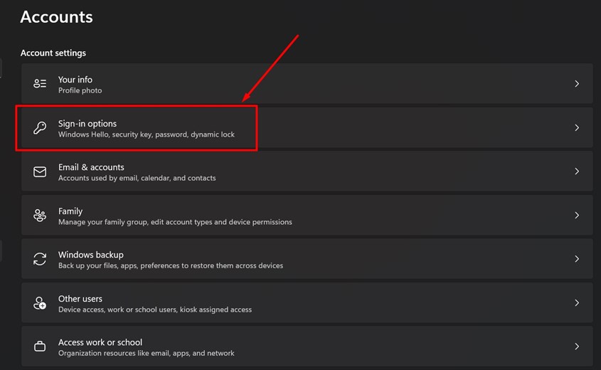Sau đó chọn Sign-in Options