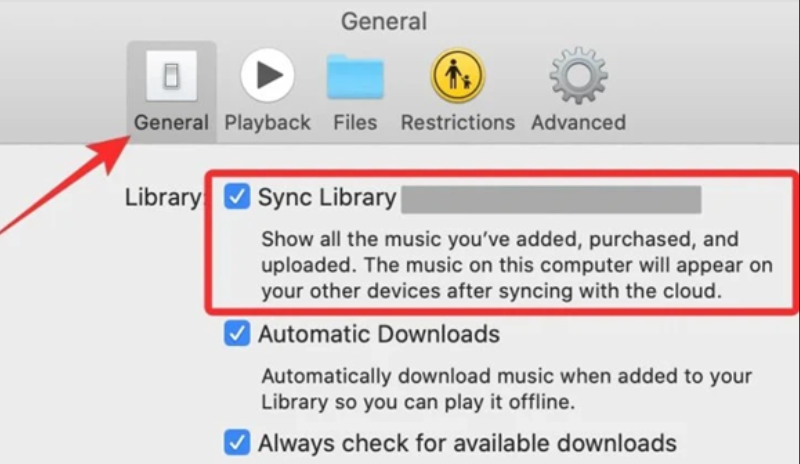  Mở ứng dụng Apple Music tr&ecirc;n Macbook > Music > Preferences > General > K&iacute;ch chọn Sync Library > OK 