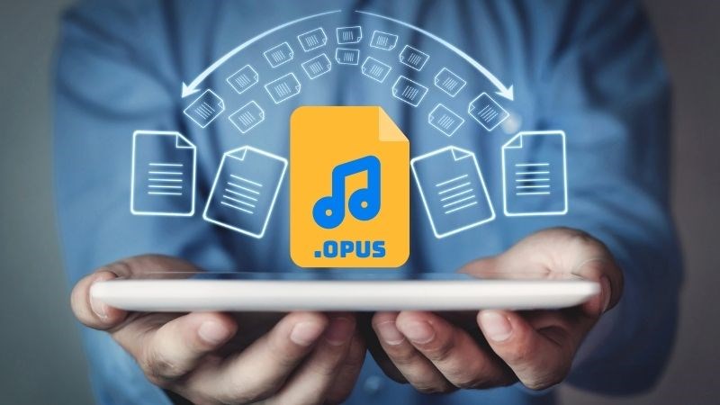 Opus l&agrave; một loại định dạng &acirc;m thanh