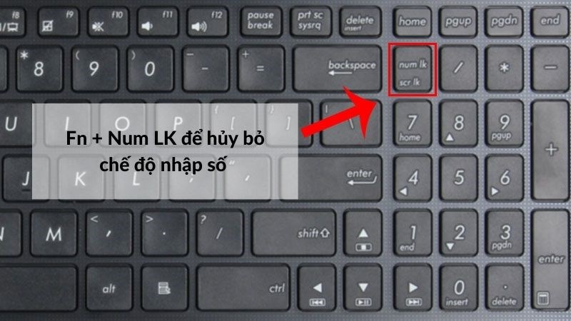 Sử dụng tổ hợp ph&iacute;m Fn + Numlk để hủy bỏ chế độ nhập số
