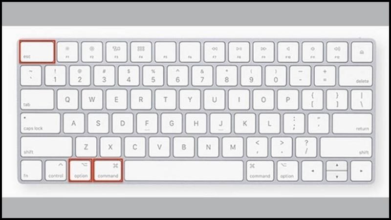 Nhấn và giữ tổ hợp phím Command + Option + Esc để đến cửa sổ Force Quit Applications