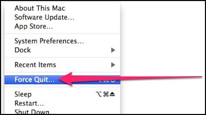 Trong menu thả xuống, chọn tính năng Force Quit