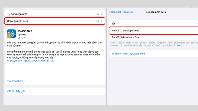 Nhấp v&agrave;o Bản cập nhật Beta > Chọn iPadOS 17 Developer Beta