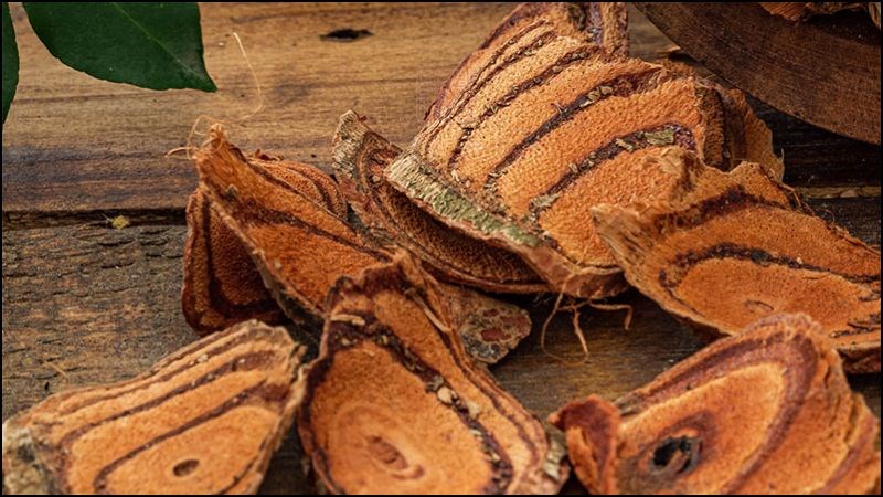 Cần bảo quản dược liệu kê huyết đằng ở nơi khô ráo, mát mẻ