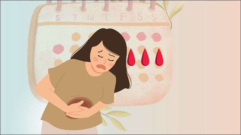 Bài thuốc trị rối loạn kinh nguyệt từ kê huyết đằng