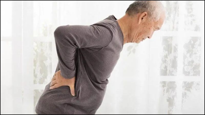 Bài thuốc chữa đau lưng từ kê huyết đằng