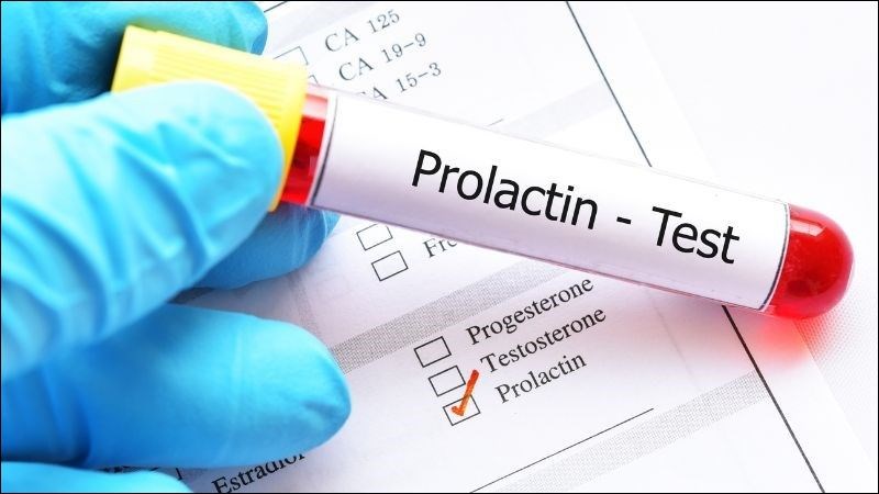 Prolactin cao ảnh hưởng đến quá trình rụng trứng của cơ thể