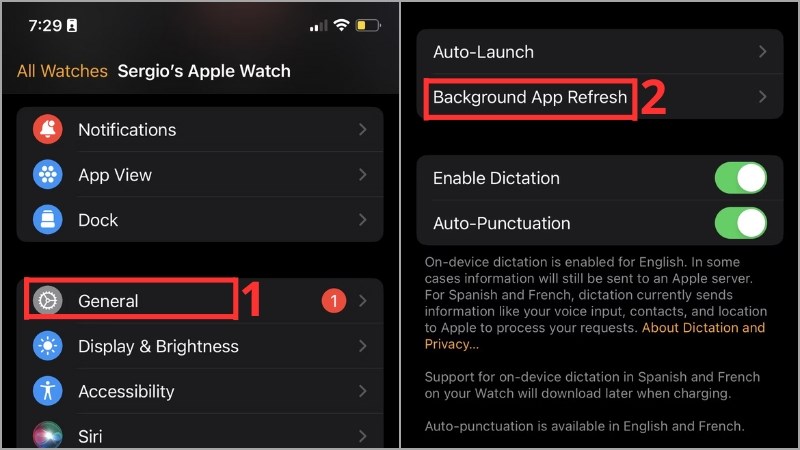 V&agrave;o Watch app > Chọn General > Chọn Background App Refresh
