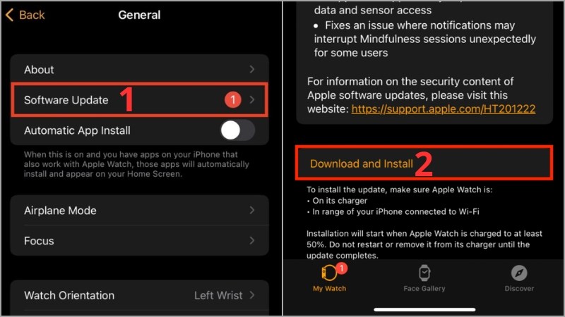Nhấp v&agrave;o Software Update > Chọn Download and Install