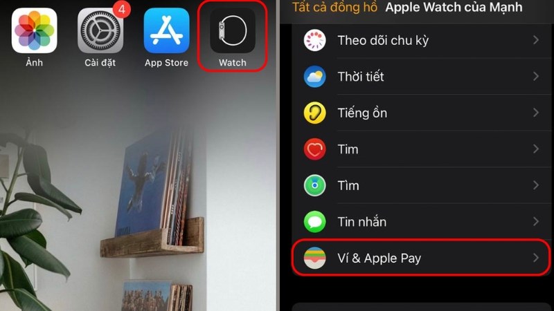 Chọn Ví & Apple Pay