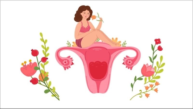 Các vấn đề với cơ quan sinh sản có thể dẫn đến kinh nguyệt không đều