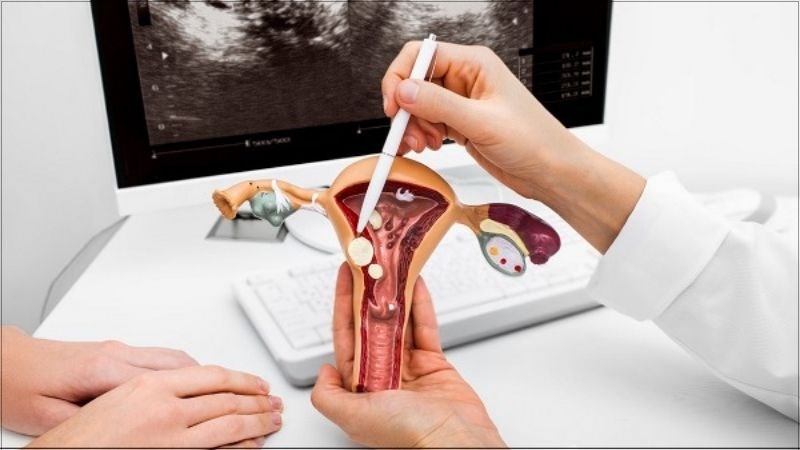 Bạn nên khám phụ khoa 6 tháng/ lần hoặc bất kỳ khi nào có dấu hiệu bất thường