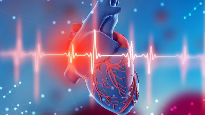 Trứng chiên giúp giảm nguy cơ mắc bệnh tim mạch