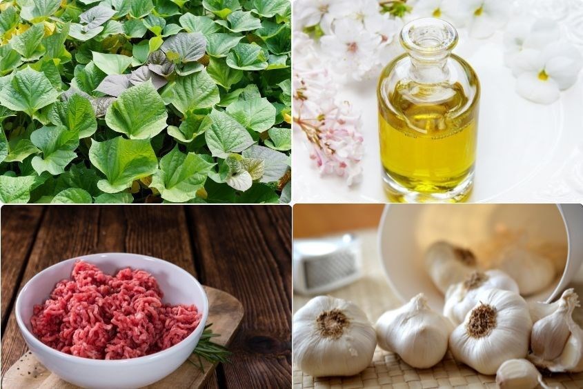 Cháo Thịt Bò Rau Lang - Món Ăn Dinh Dưỡng Cho Mọi Lứa Tuổi