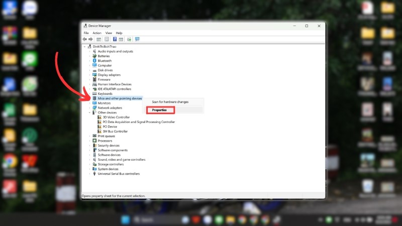 Di chuyển đến Mice and other pointing devices v&agrave; thao t&aacute;c với c&aacute;c ph&iacute;m mũi t&ecirc;n để mở tab Properties