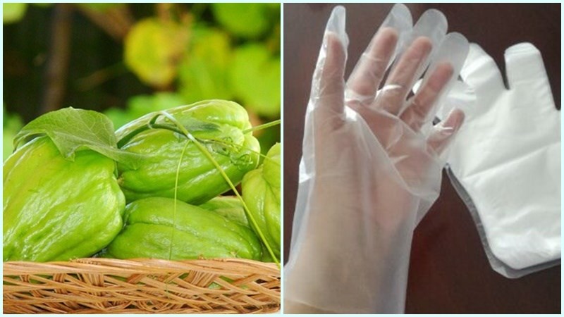 Bạn nên đeo găng tay khi chế biến su su để không bị dính mủ vào tay