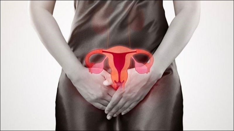 Ba kích có thể được áp dụng để chứa chứng tử cung lạnh