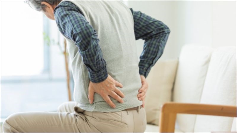 Ba kích có thể được áp dụng điều trị các chứng đau nhức xương khớp