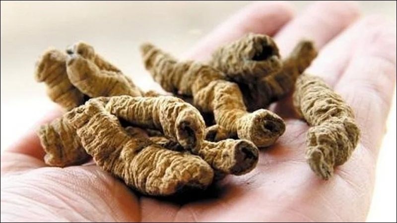 Bạn nên sử dụng ba kích với liều từ 8 - 16 g