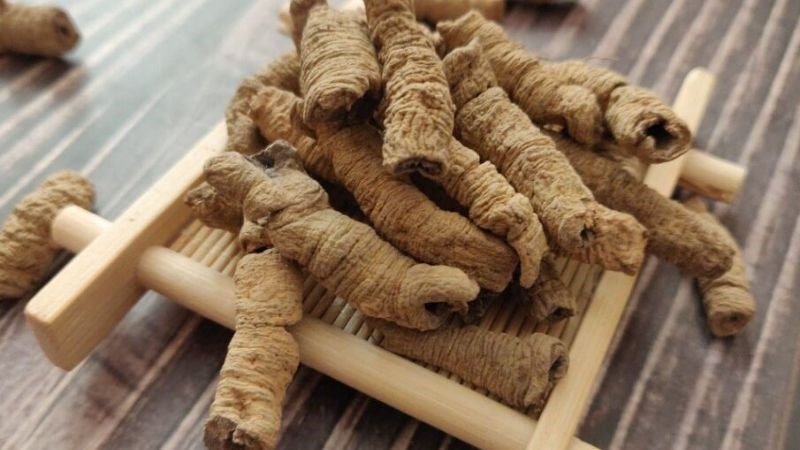 Bạn nên bảo quản ba kích trong các bình thuỷ tinh có nắp đậy kín